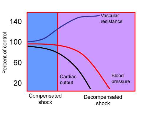 Hemodynamic Responses to Shock in Children diagram